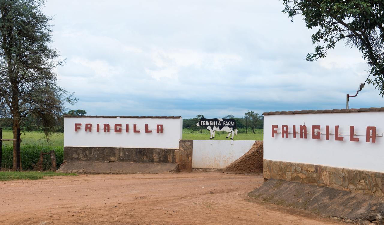 Fringilla Lodge Chisamba Exteriér fotografie