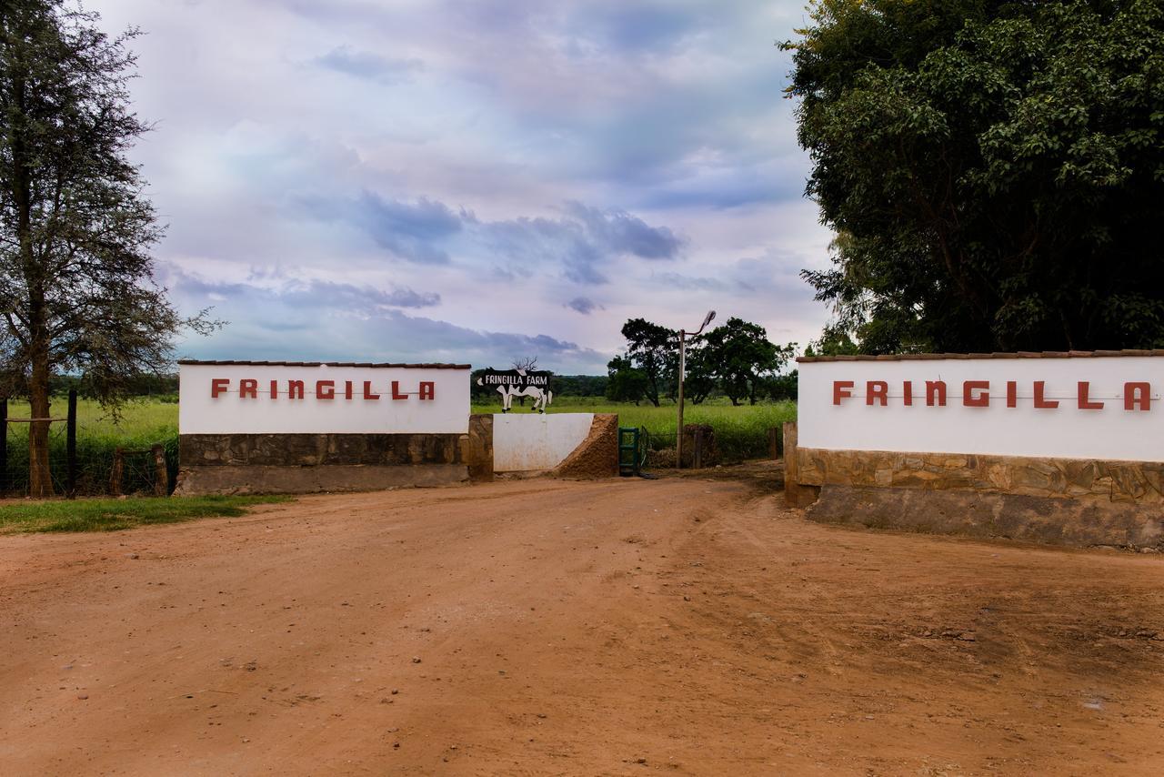 Fringilla Lodge Chisamba Exteriér fotografie